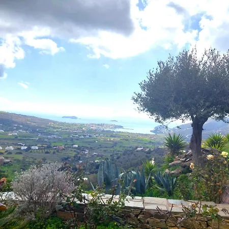 Olive Tree House Ándros