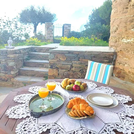 Hébergement de vacances Olive Tree House